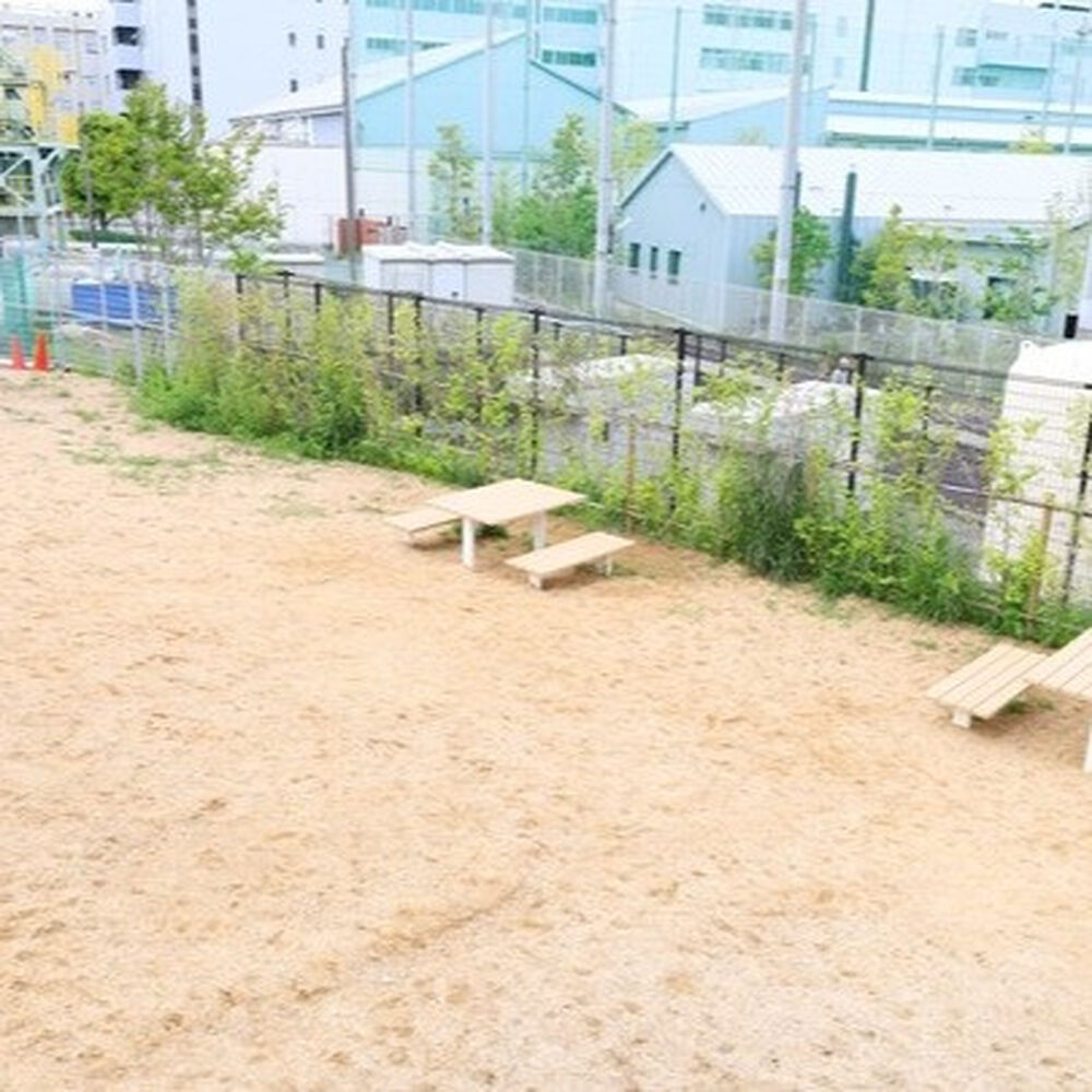 ブログ画像